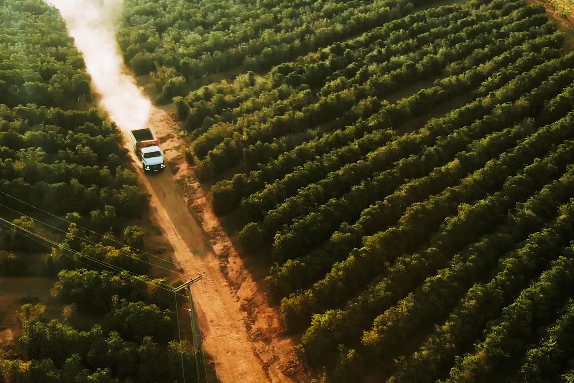 Campo das Vertentes