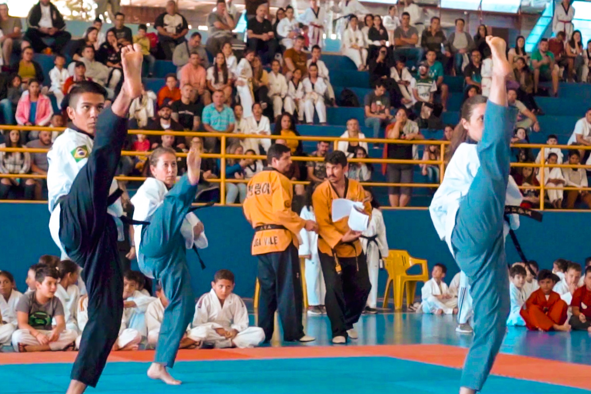 Liga Vale Taekwondo